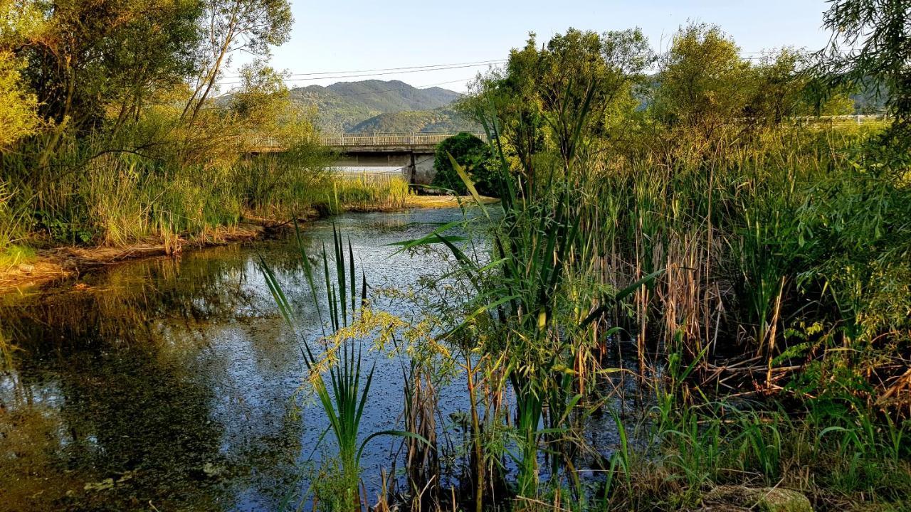 Отель La Podul Gornii Gornea Экстерьер фото